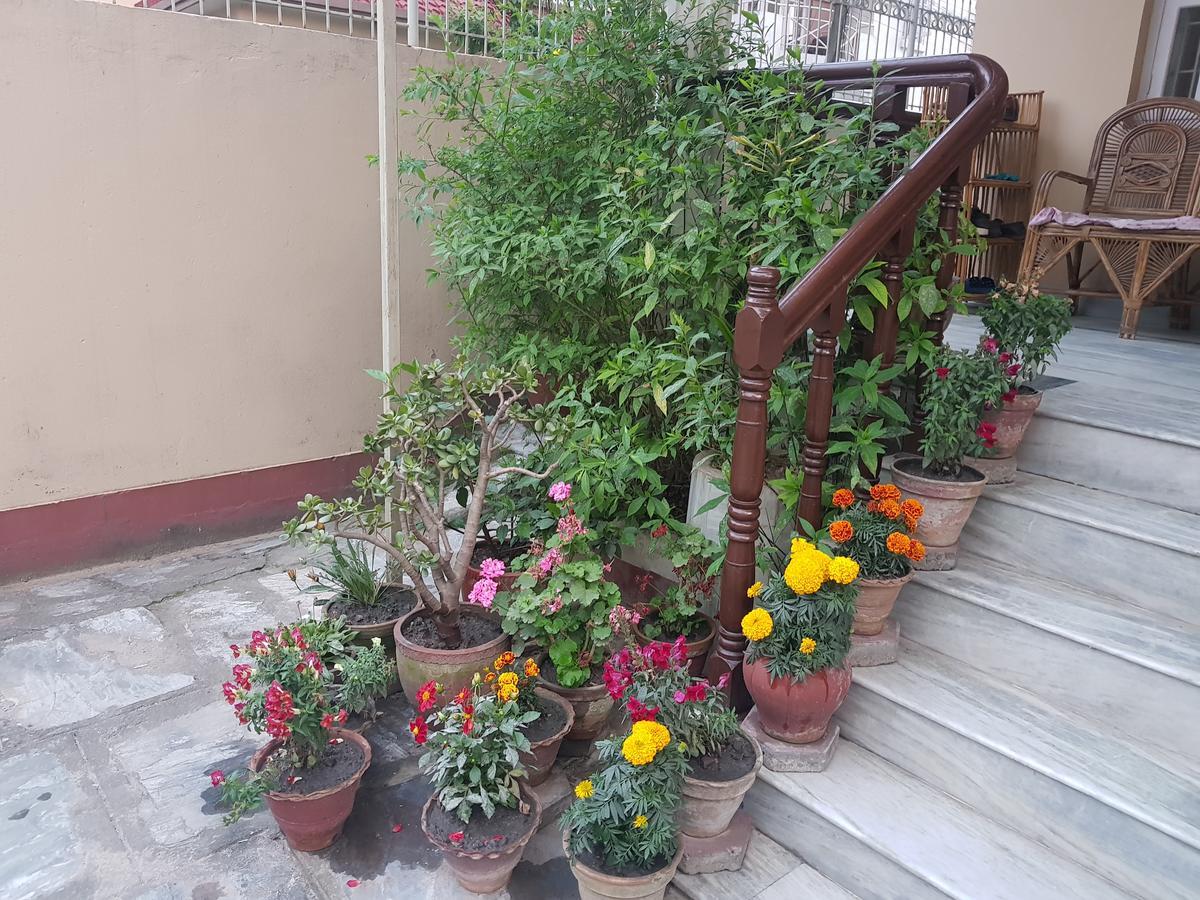 Cozy Home Jawlakhel 外观 照片